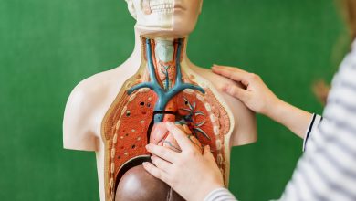 Photo of Как поддерживать здоровье пищеварительной системы